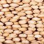 The price of one kg of Chickpeas increased by Rs 40
