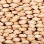 The price of one kg of Chickpeas increased by Rs 40