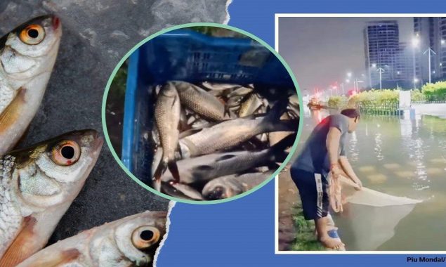 People in Kolkata’s New Town go fishing on flooded streets