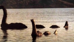 Sonar ‘spots’ the Loch Ness sea monster