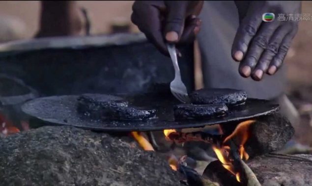 African ‘Nutritious Burger Patty’ is made from 500,000 Flies