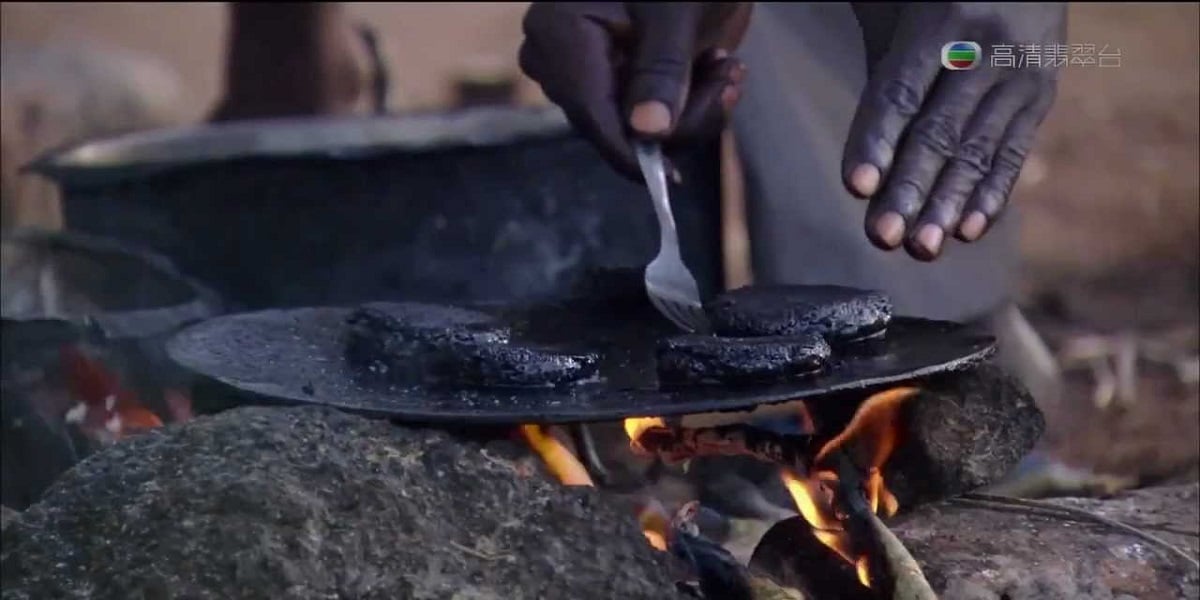 African ‘Nutritious Burger Patty’ is made from 500,000 Flies