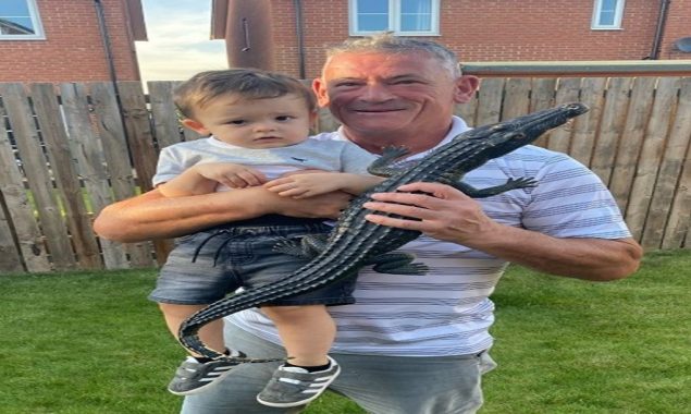 Bricklayer resolve the secret of Castleford Crocodile running in lawn