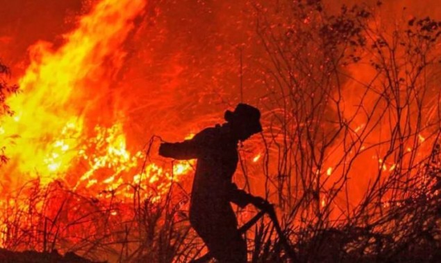 Pai Forest fire break-out consumes hundreds trees