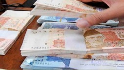 Shaukat Tarin: Pakistani currency will be used for trade with Afghanistan