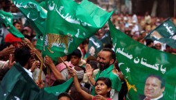 pmln flags