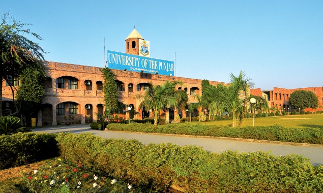 university of punjab