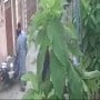 Viral video: Dacoit hugs and returns snatched possessions to delivery boy