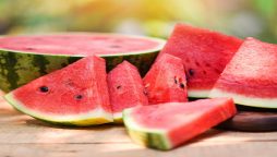 Watermelons record set by a female bodybuilder