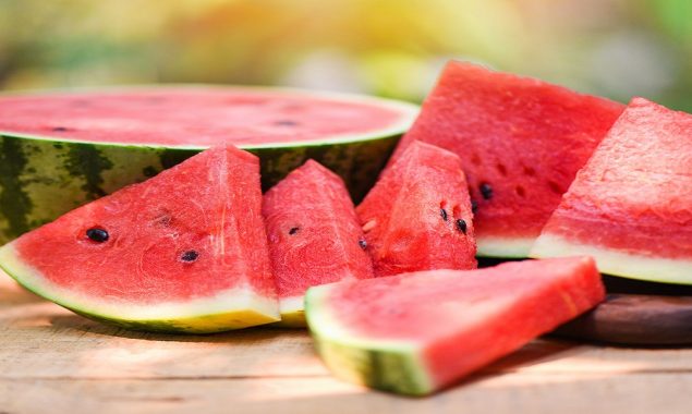 Watermelon record set by a female bodybuilder