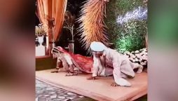 Watch video: The bride and groom do push-ups onstage