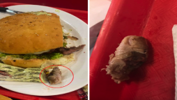 Customer shocked! After noticing the rotten finger in hamburger