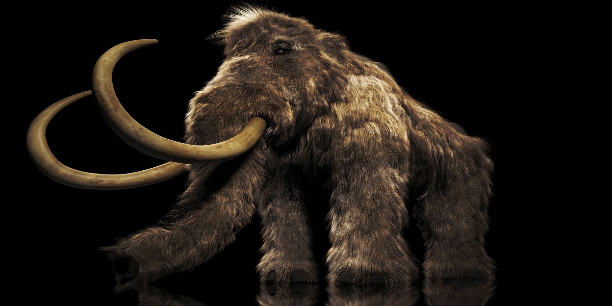 Bioscience Company just raised $15 Million for reviving Woolly Mammoths