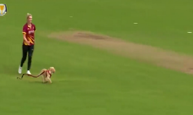 WATCH: Dog enters the ground and runs away with the ball