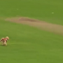 WATCH: Dog enters the ground and runs away with the ball