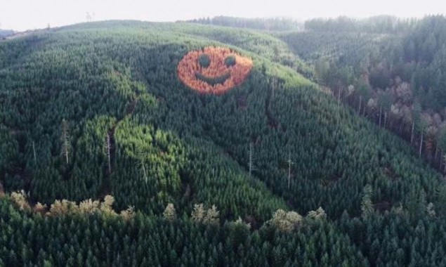 Giant smiley face of trees adorns forested hillside in Oregon