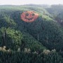 Giant smiley face of trees adorns forested hillside in Oregon