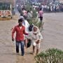 Nearly 200 perish in India, Nepal rains