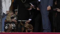 The Greek Prime Minister's dog disrupts a press conference