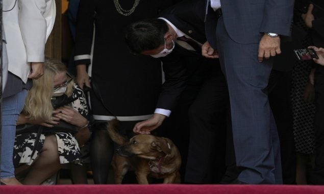 The Greek Prime Minister's dog disrupts a press conference