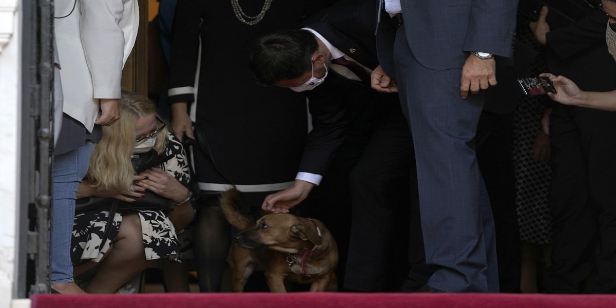 The Greek Prime Minister's dog disrupts a press conference