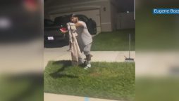 Florida: Man who caught Alligator in the trash can remove snake as well
