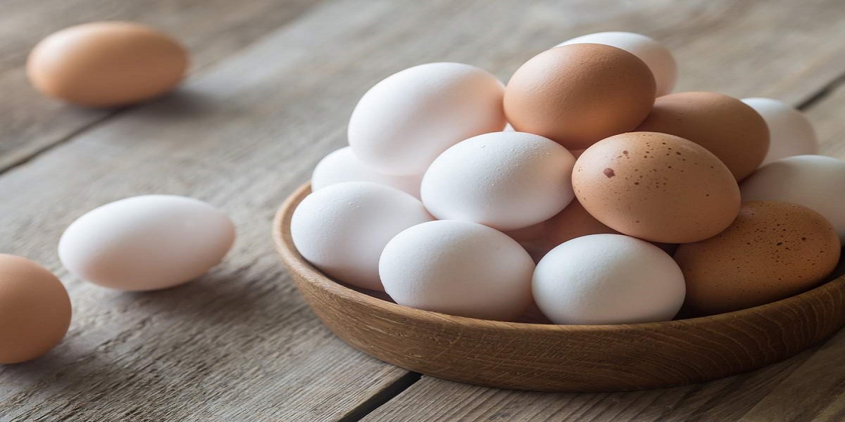 Viral video: Boy's egg experiment with his father comes to a conclusion
