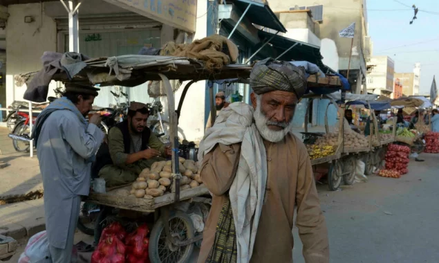 More than half of Afghans face ‘acute’ food crisis: UN agencies