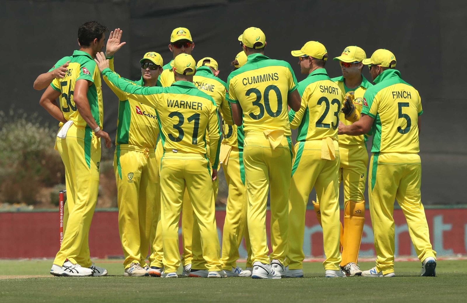 ICC T20 World Cup: Australia bank on bowlers for maiden ICC T20 World Cup title