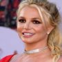 Britney Spears needs time to recover from her decade-long custody struggle