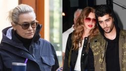Zayn Malik gets 360 day probation in alleged Yolanda Hadid altercation