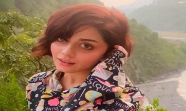 Alizeh Shah looks breathtaking in a new alluring photo
