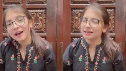 ‘Pawri girl’ Dananeer once again trending on social media for her singing skills, watch video