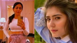 Ushna Shah and Dur-e-Fishan get into a friendly online banter