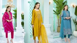 Saeeda Imtiaz scatters vibrant colors in her latest photoshoot