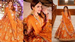 Sumbul Iqbal gives eternal beauty in pastel orange lehenga, see photos