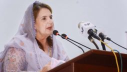 Samina Alvi