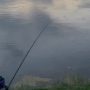 Dad and son catch crocodile while fishing