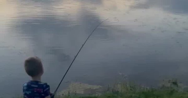 Dad and son catch crocodile while fishing