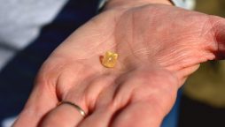 USA: Amazing coincidence with a woman visiting Diamonds State Park