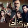 Parizaad – Behind every successful man, there is a woman