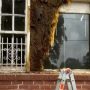 Thousands of bees evacuated from an empty house in Atlanta