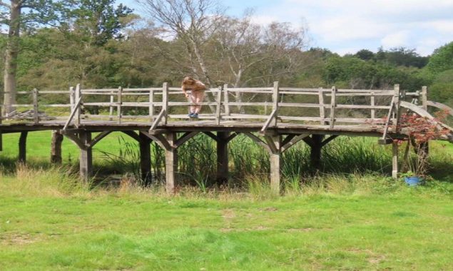 Ashdown Forest's original Winnie-the-Pooh bridge is up for auction