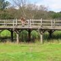 Ashdown Forest’s original Winnie-the-Pooh bridge is up for auction