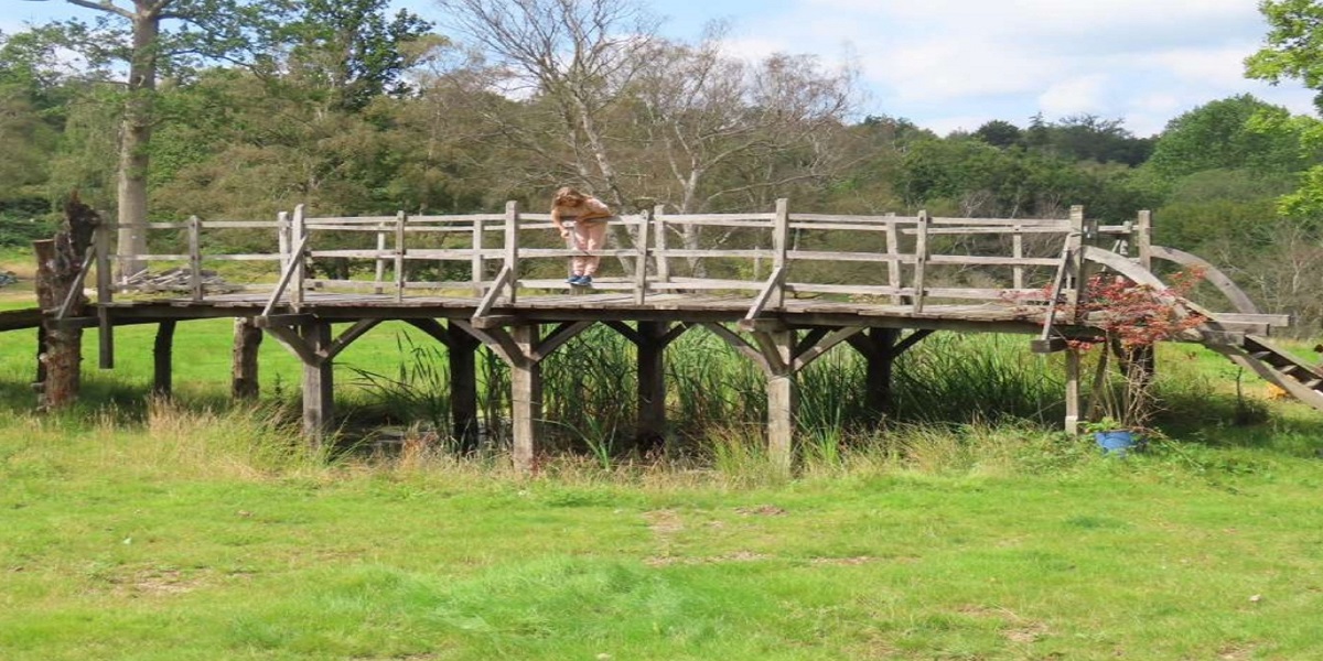 Ashdown Forest's original Winnie-the-Pooh bridge is up for auction