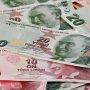 Turkish lira slumps to record low after Erdogan orders expulsions