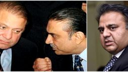Fawad holds Zardari-Nawaz responsible for country's economic woes