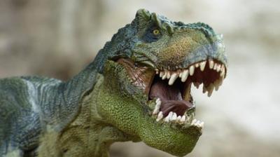 Strange new species of dinosaur had armour unlike anything seen before