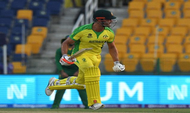 Stoinis, Wade help Australia survive South Africa scare