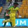 Stoinis, Wade help Australia survive South Africa scare
